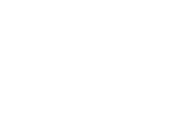 RKM BASSES